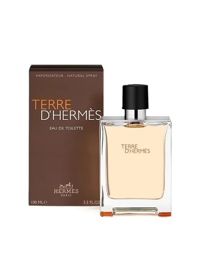 Hermes Terre d'Hermes Eau de Toilette 100ml
